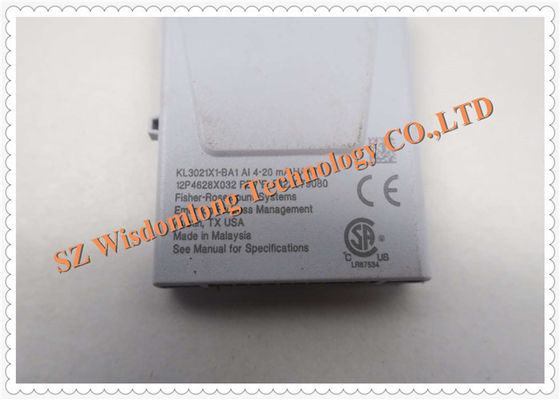 O analógico de Emerson DeltaV entrou o subsistema do I/O do CERVO do encanto de KL3021X1-BA1 12P4628X062 AI 4-20mA