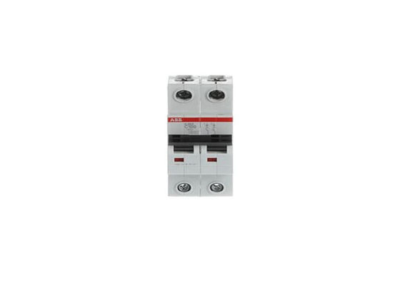 ABB S202-C100 2CDS252001R0824 S202-C100 Disjuntor em miniatura - 2P - C - 100 A