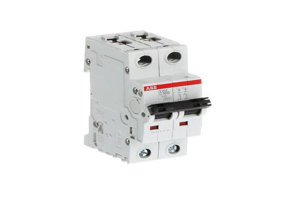 ABB S202-C100 2CDS252001R0824 S202-C100 Disjuntor em miniatura - 2P - C - 100 A