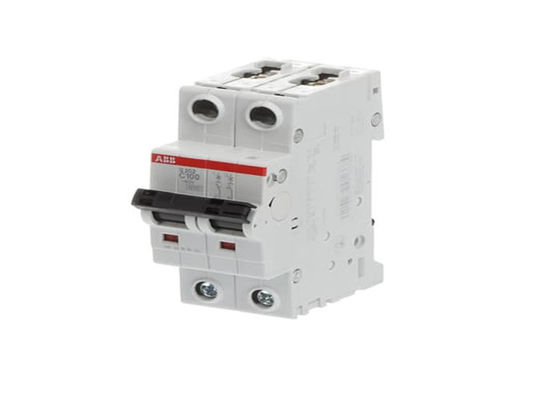 ABB S202-C100 2CDS252001R0824 S202-C100 Disjuntor em miniatura - 2P - C - 100 A