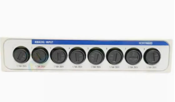 Westinghouse 1C31116G03 Modulo de ovação 0-20mA Modulo de personalidade de entrada analógica alimentado localmente